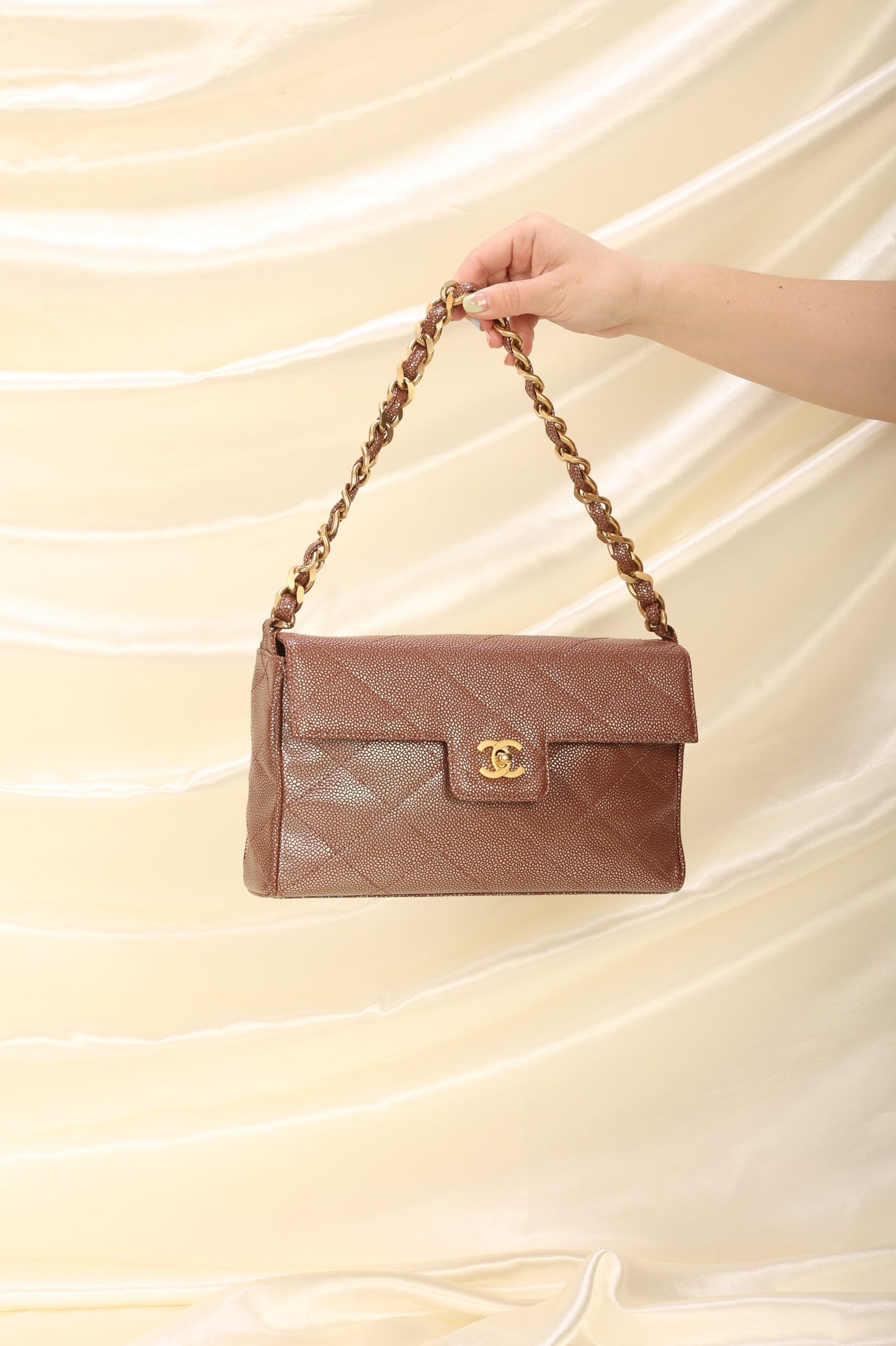 Chanel Caviar Iridescent Flap Bag