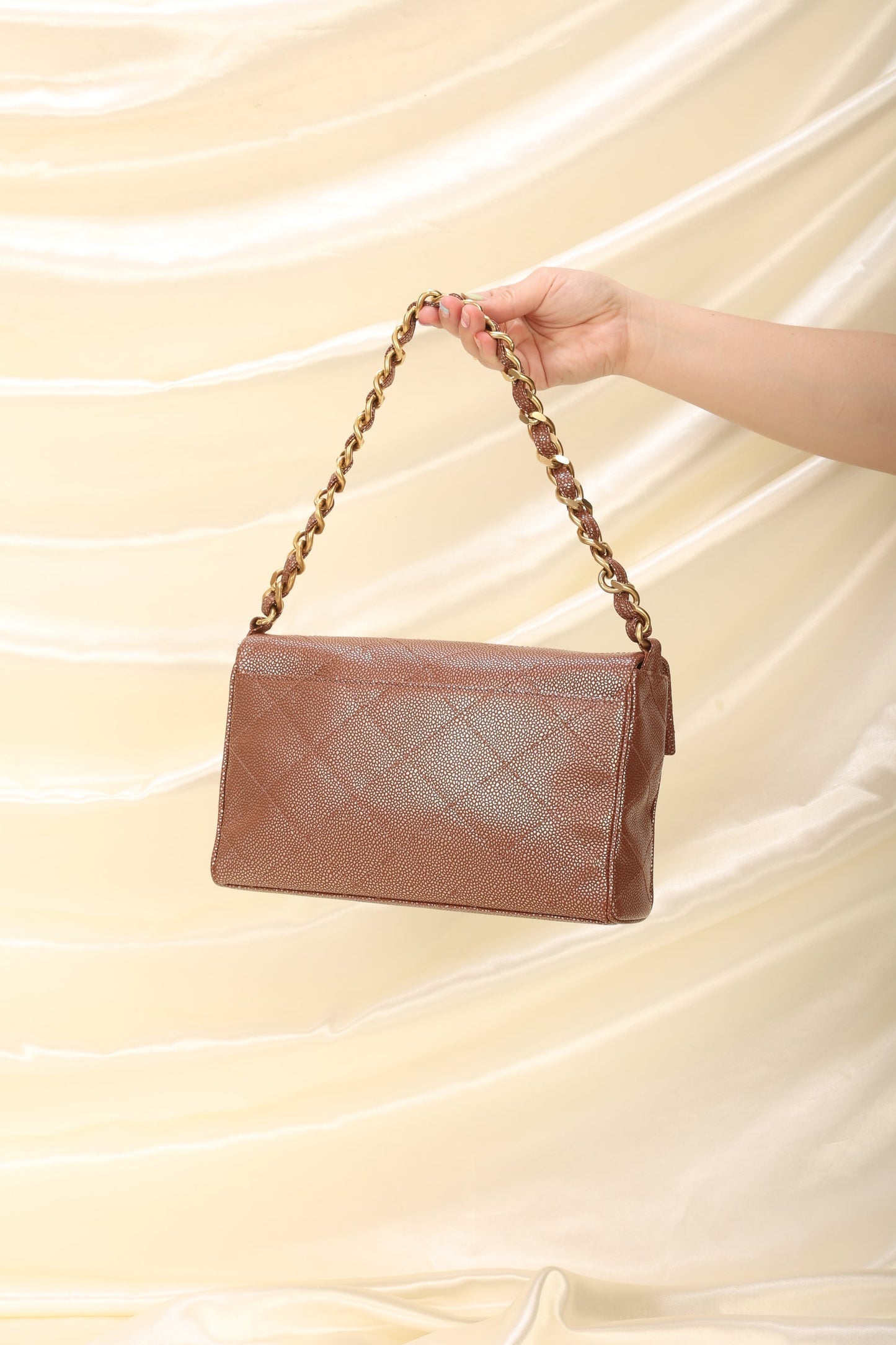 Chanel Caviar Iridescent Flap Bag