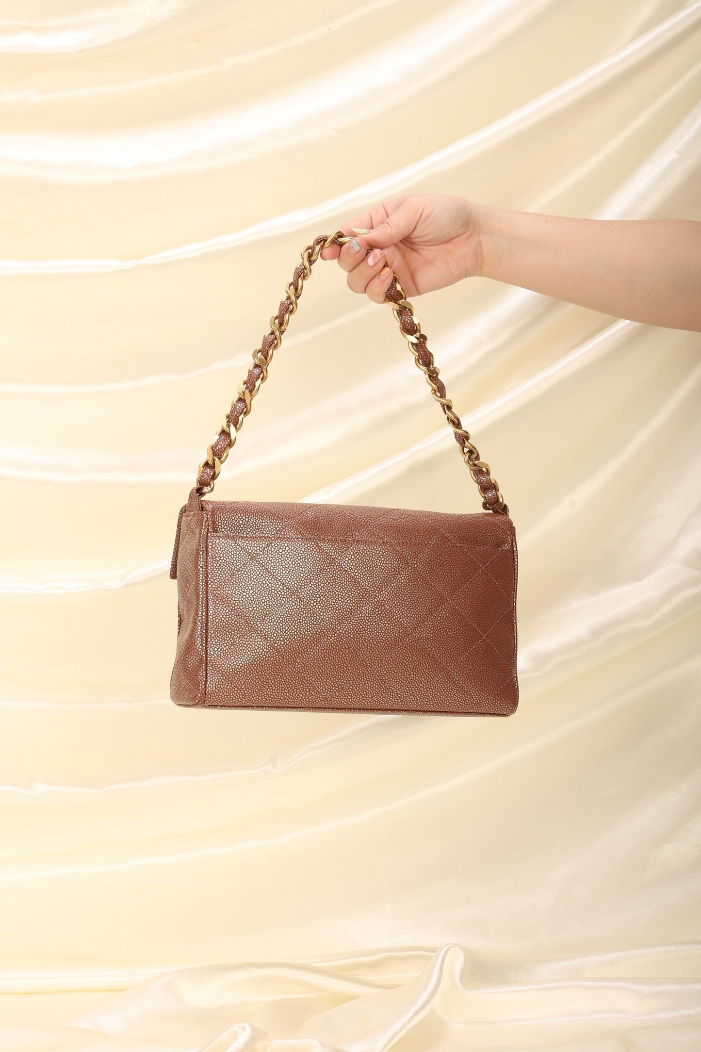 Chanel Caviar Iridescent Flap Bag