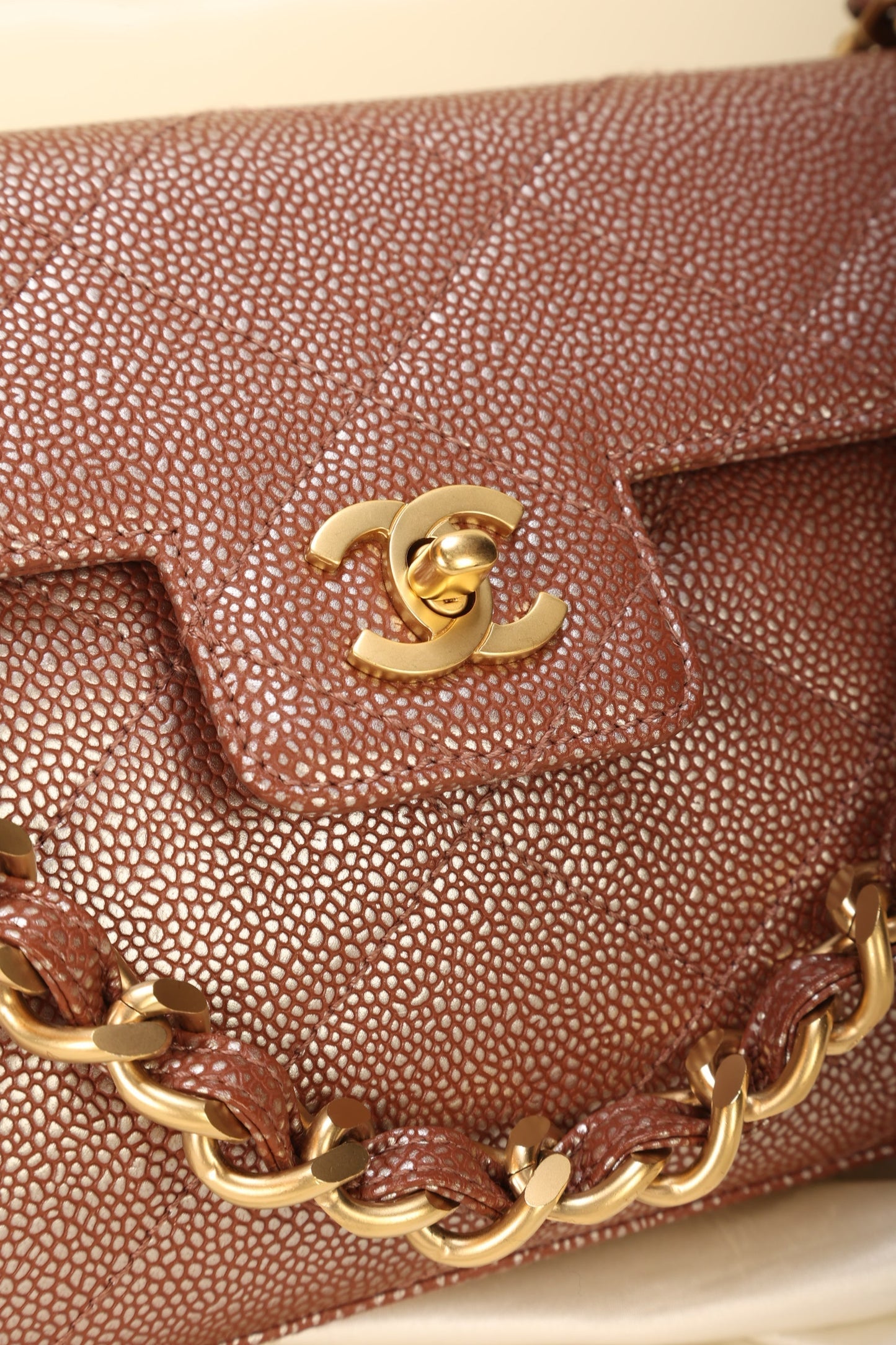 Chanel Caviar Iridescent Flap Bag