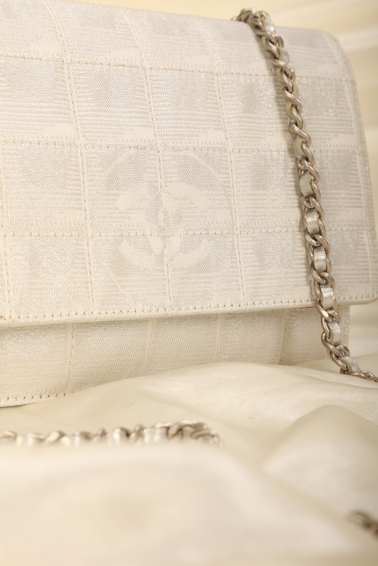 Chanel Nylon Metallic Wallet on Chain