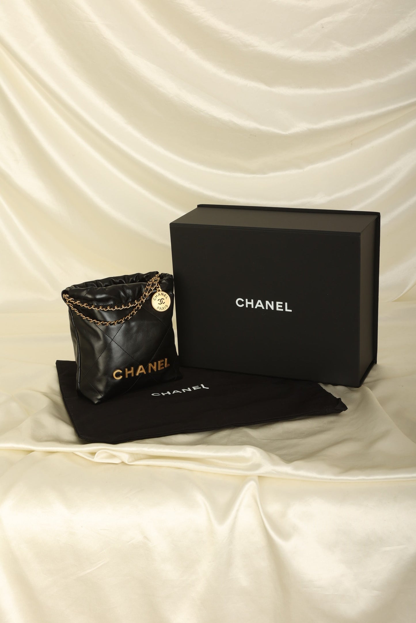 Chanel 2023 Calfskin Mini 22