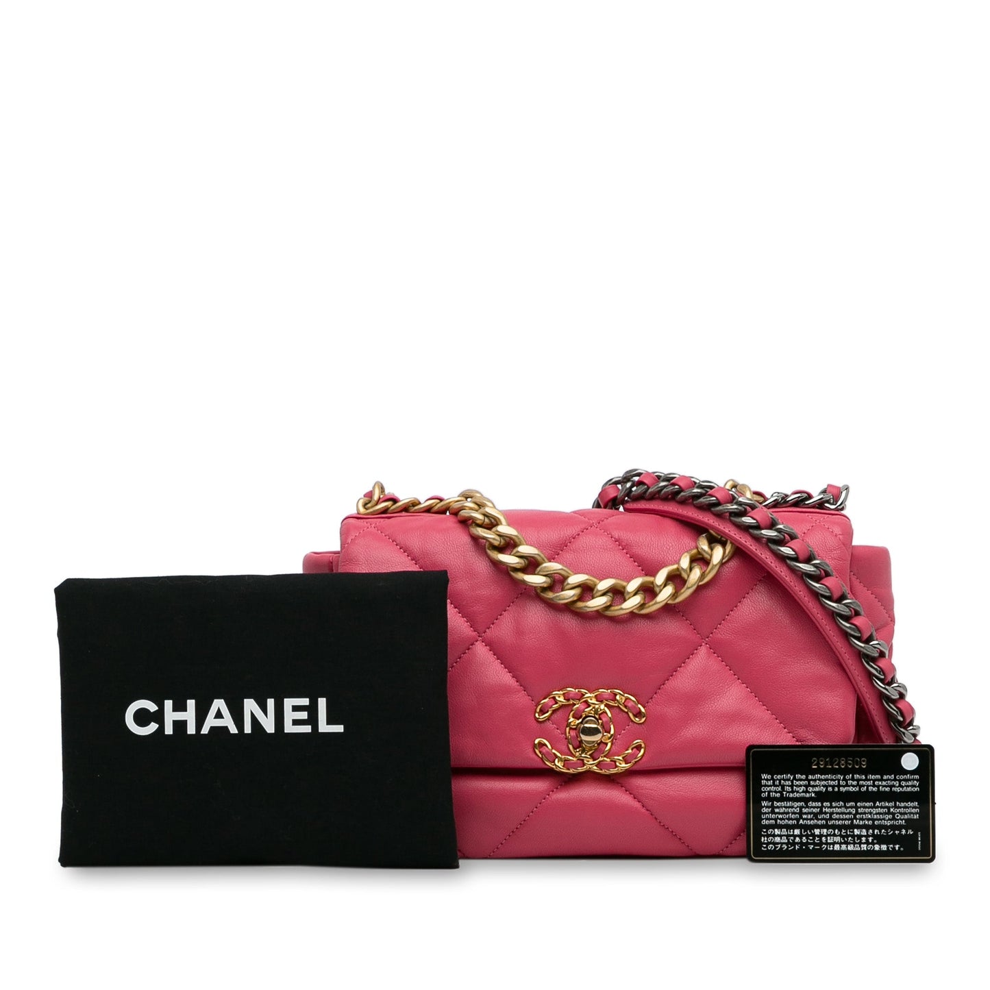 Chanel Sac Medium Lambskin 19 Flap