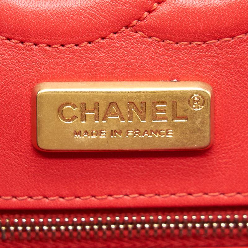 Chanel Python Skin Classic Medium Double Flap with GHW