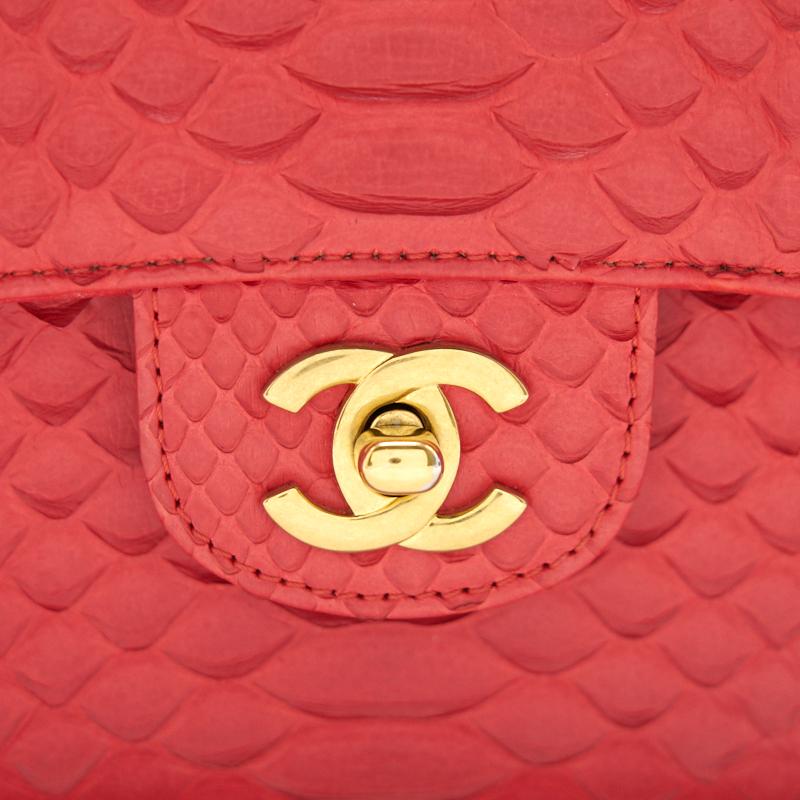 Chanel Python Skin Classic Medium Double Flap with GHW