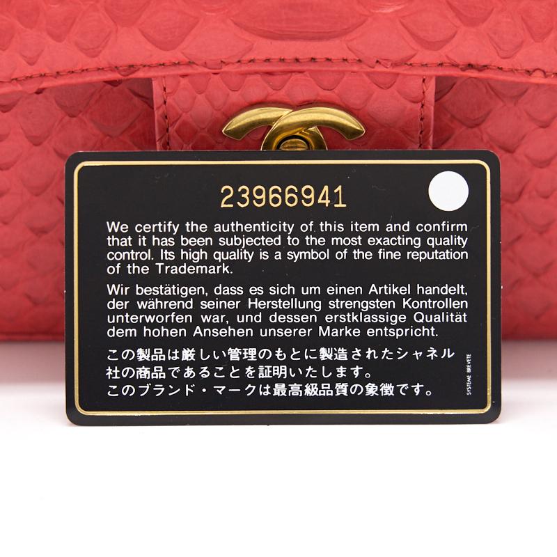 Chanel Python Skin Classic Medium Double Flap with GHW
