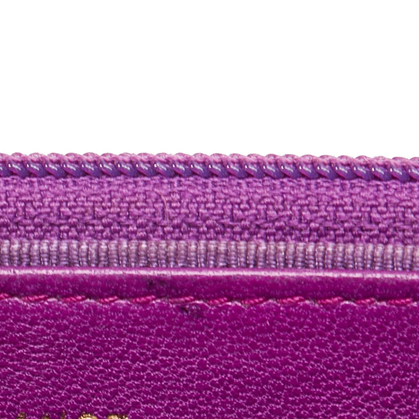 Chanel Camellia Wallet On Chain (SHG-SNxEv0)