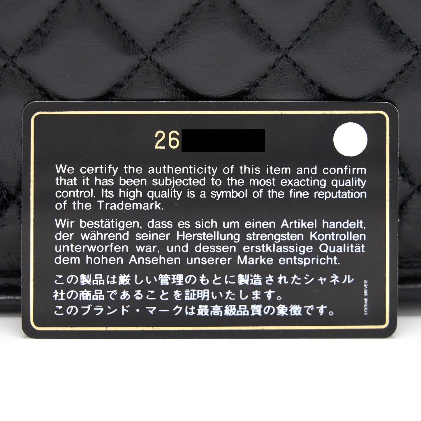 Chanel 18B Calfskin Camera Case Black SHW