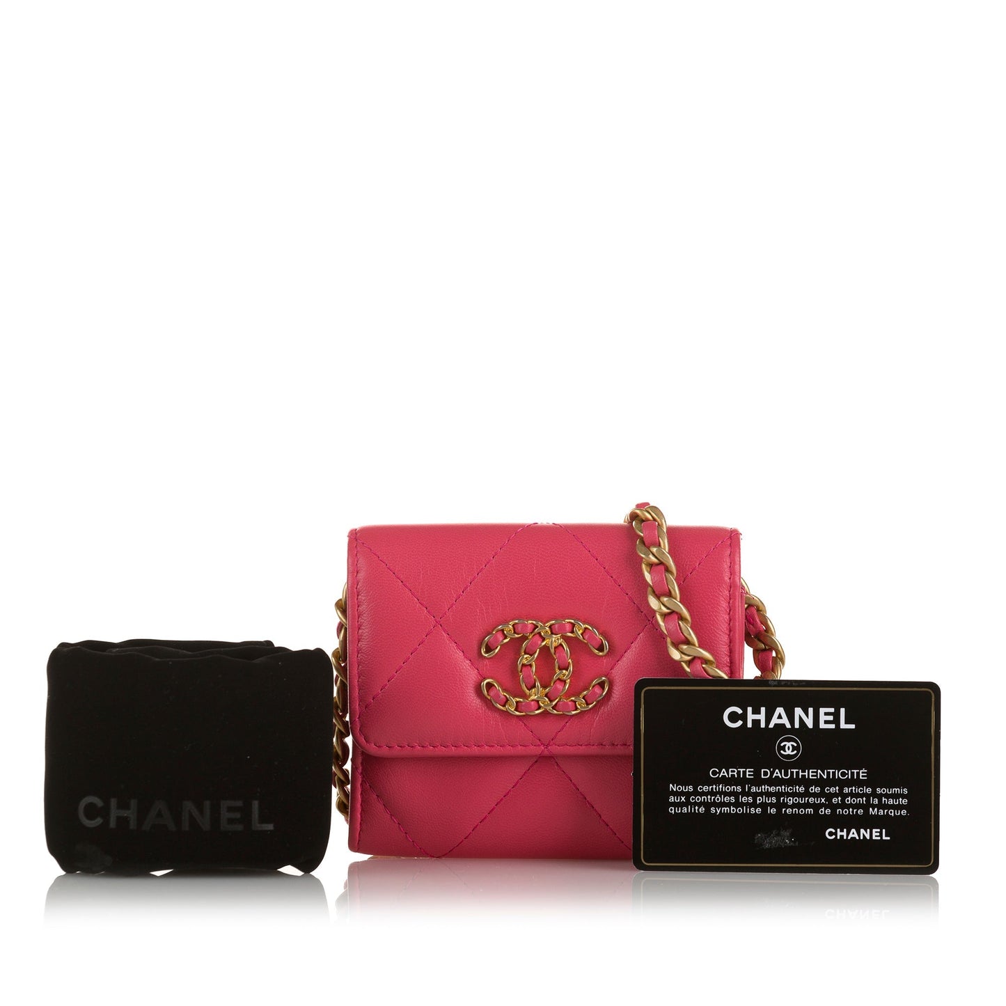 Chanel Sac 19 Flap Wallet on Chain