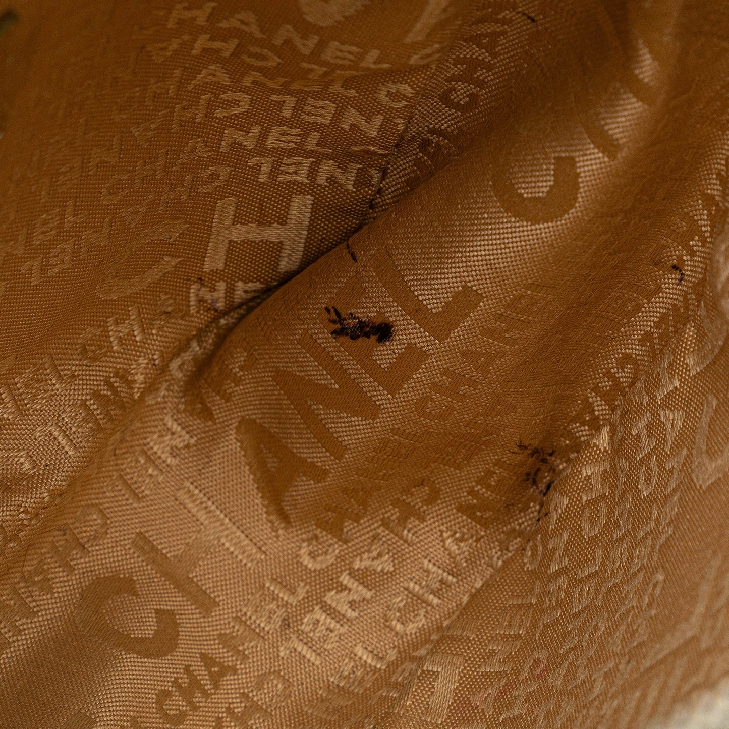 Chanel Sac Canvas Lucky Clover Camera Bag