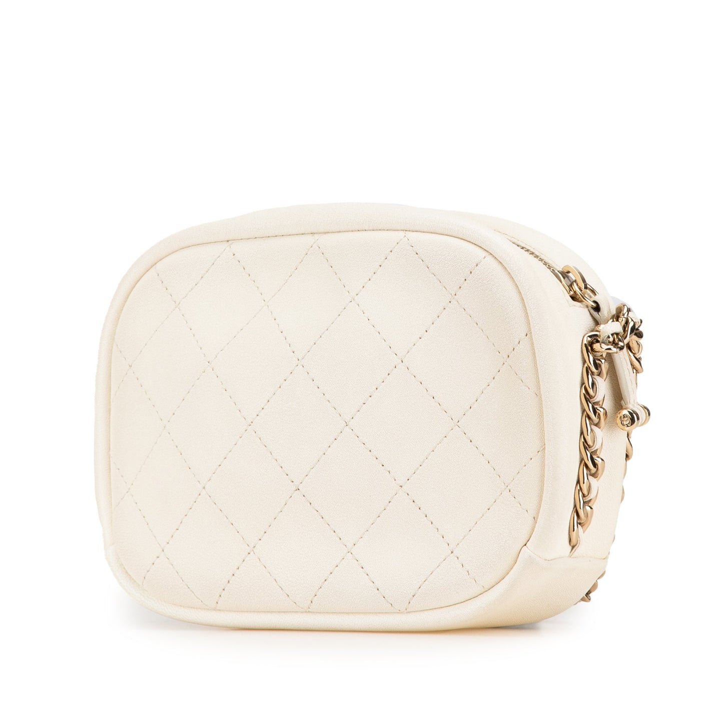 Chanel Sac Small Quilted Goatskin Casual Trip Camera Bag