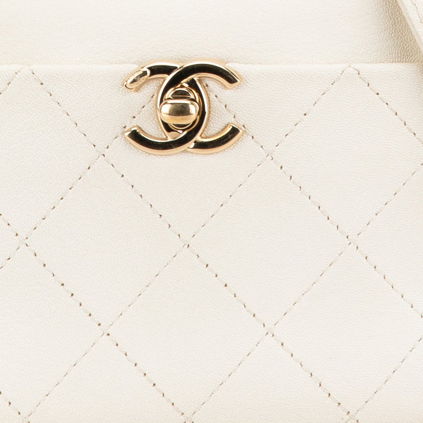 Chanel Sac Small Quilted Goatskin Casual Trip Camera Bag