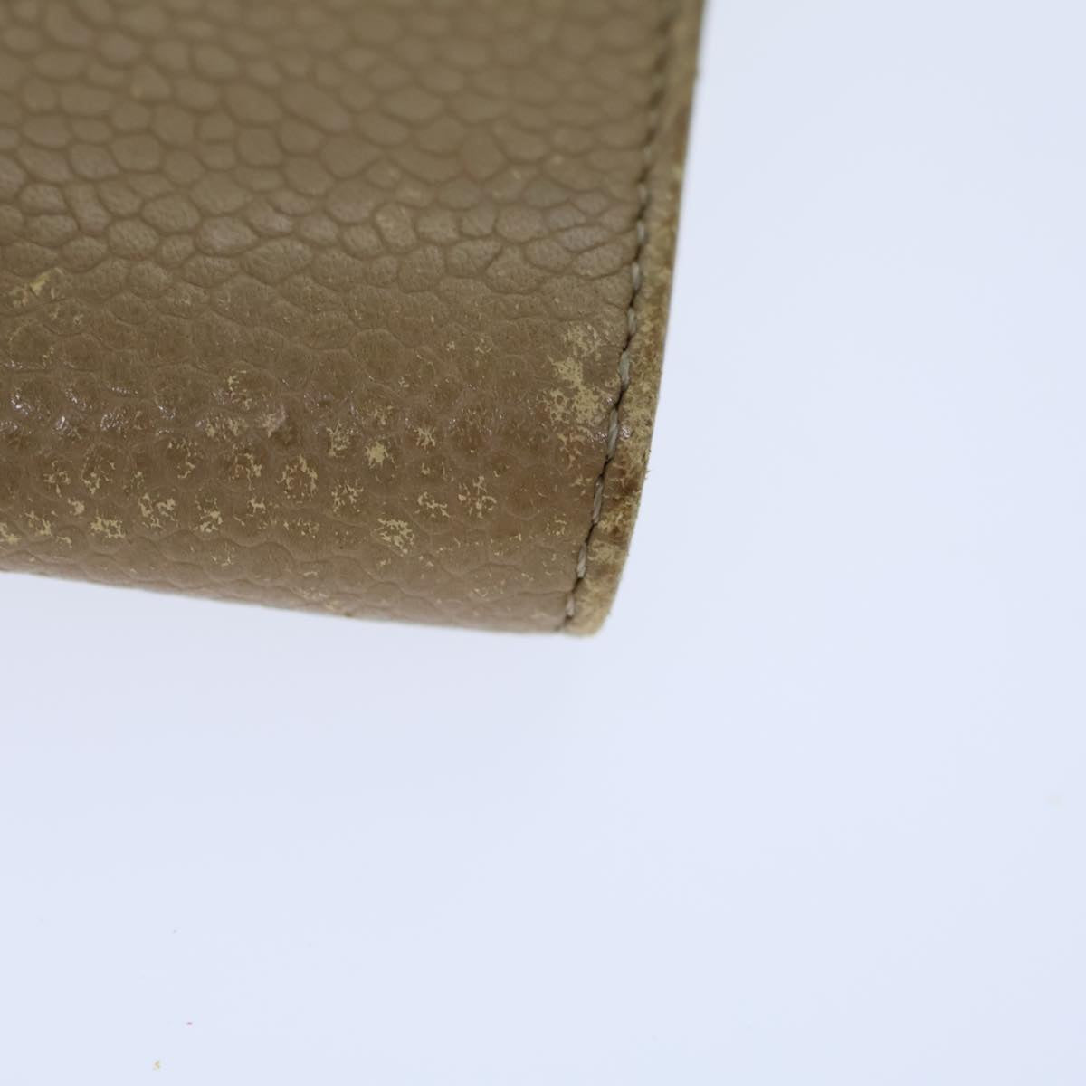 CHANEL COCO Mark Pen Case Caviar Skin Beige CC bs13887