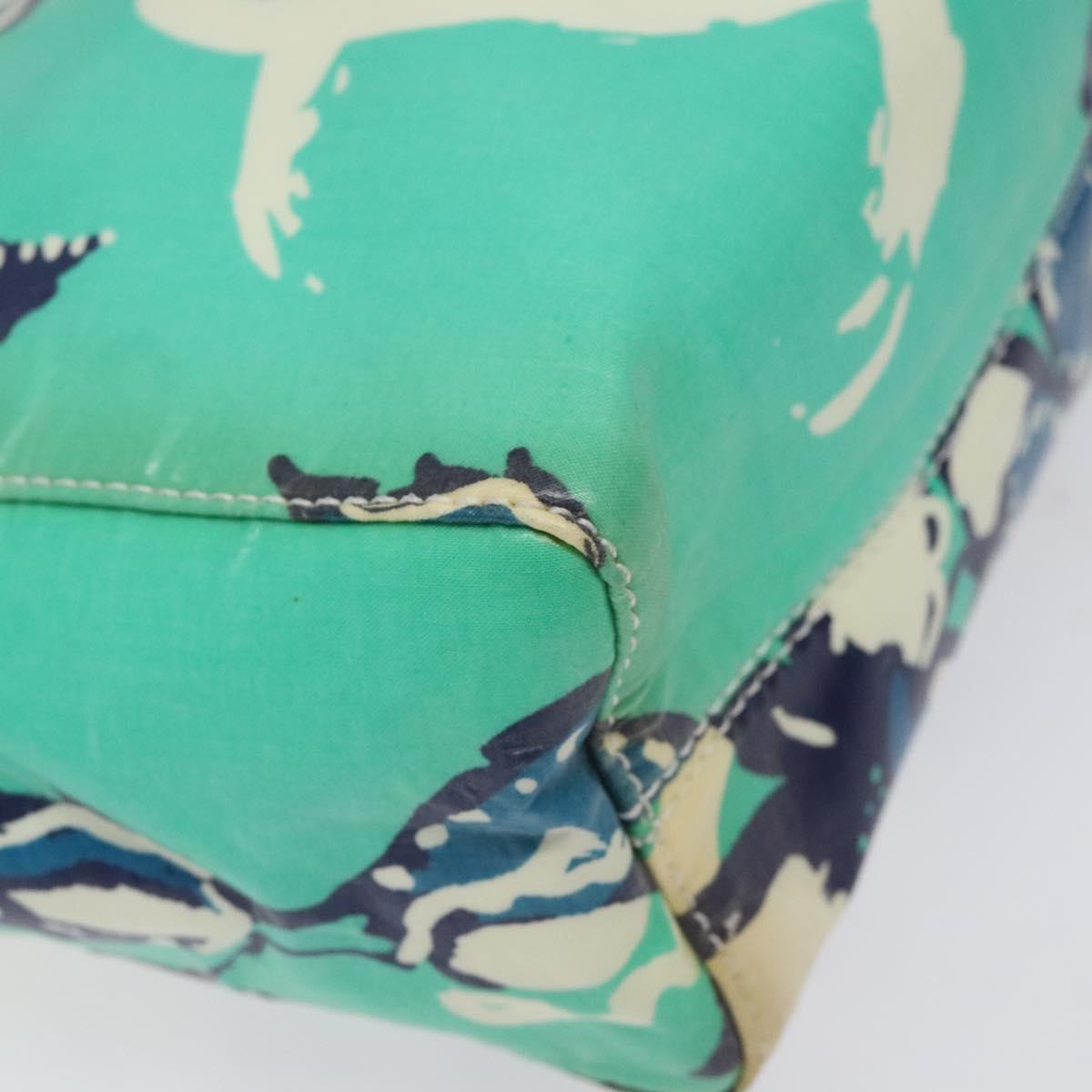 CHANEL Clutch Bag Coated Canvas Green Blue Silver CC bs22217