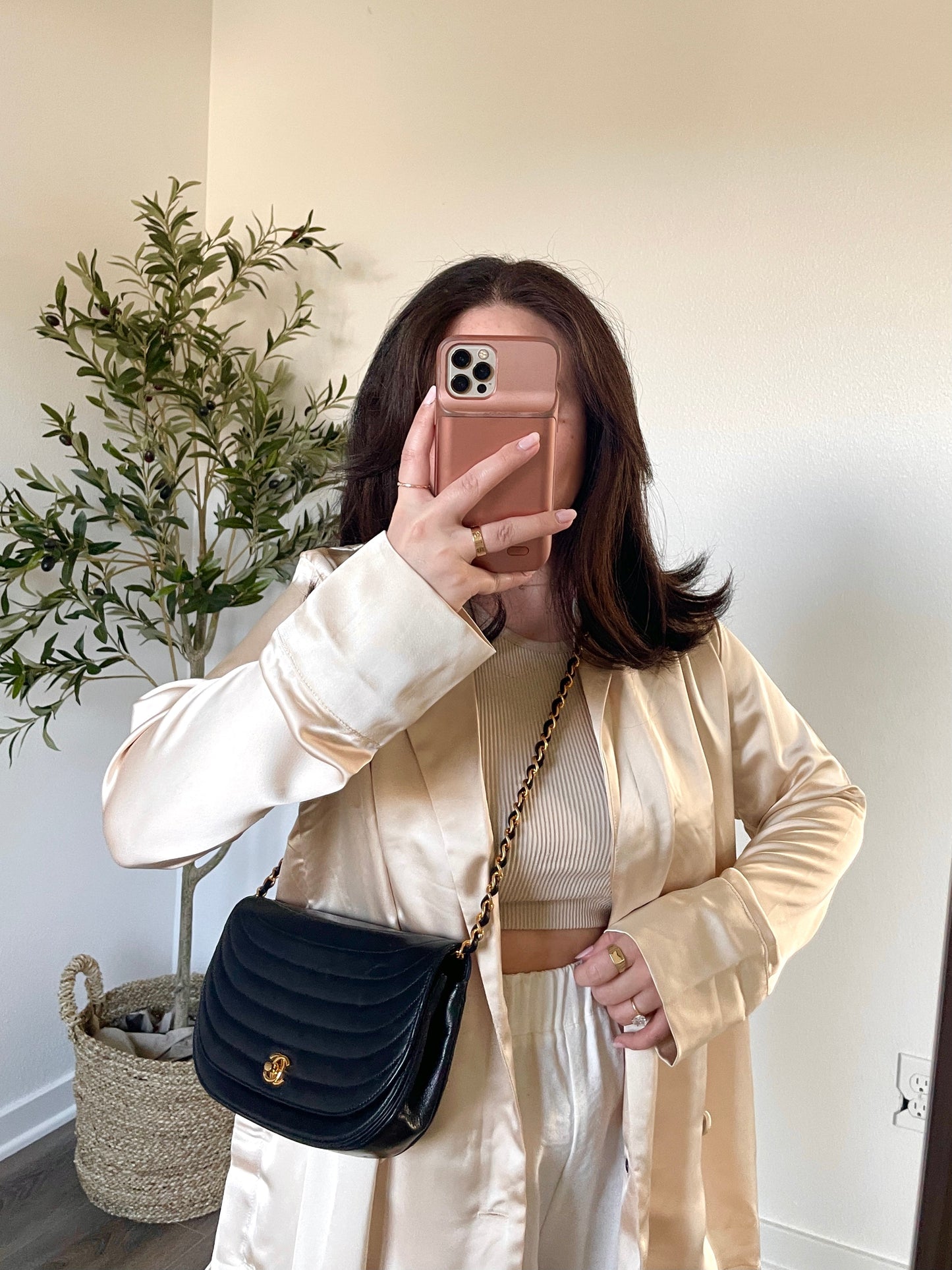 Chanel Small Crescent Flap