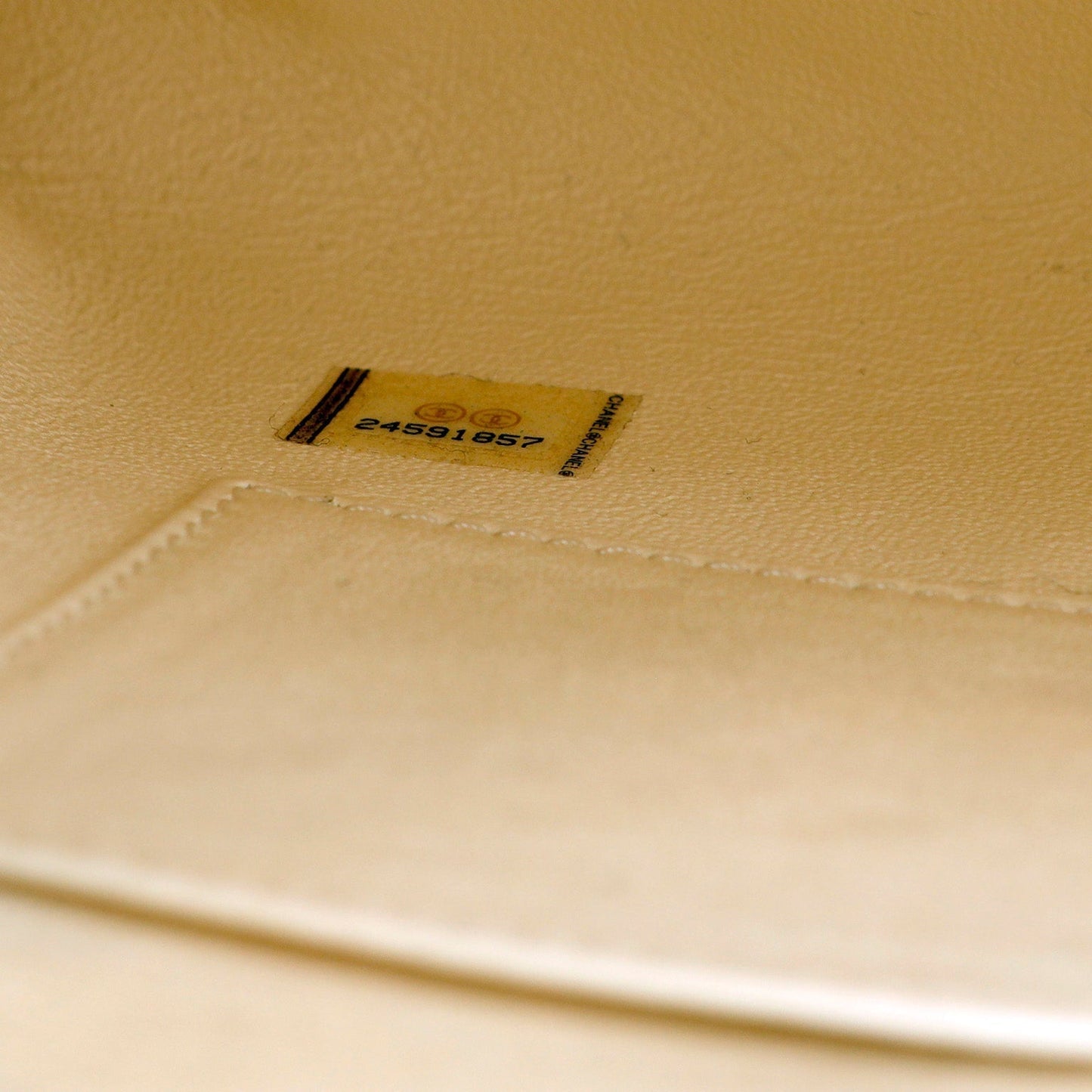 Chanel White Caviar Coco Bag w/ Lizard Skin Handle & Gold Hardware