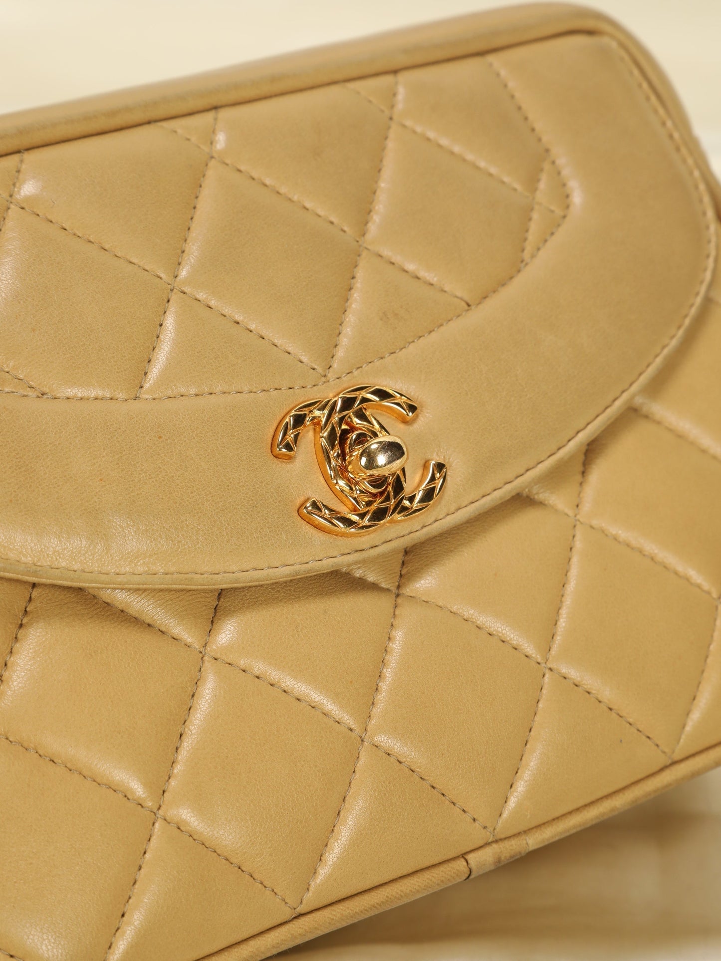 Extremely Rare Chanel Bijoux Mini Diana