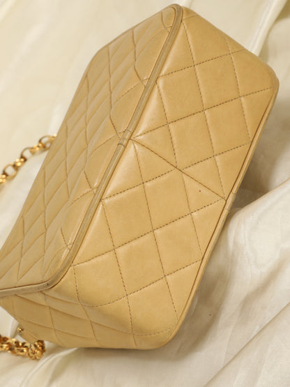 Extremely Rare Chanel Bijoux Mini Diana