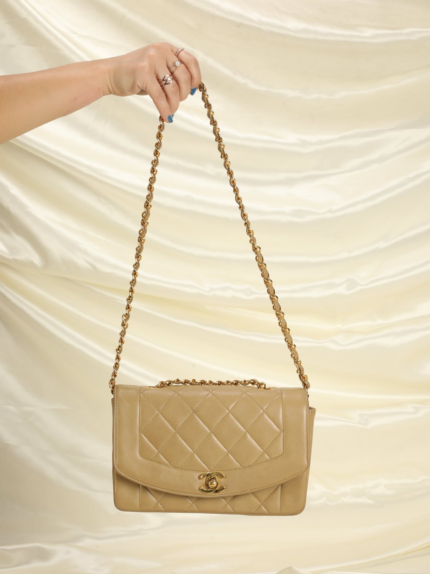 Chanel Taupe Small Diana Flap Bag