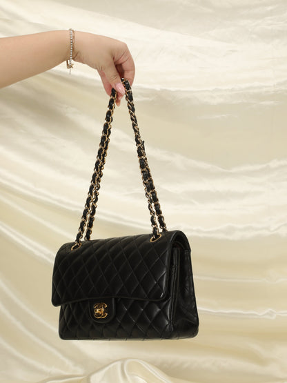 Chanel 2010 Medium Classic Double Flap