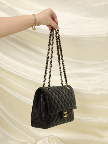 Chanel 2010 Medium Classic Double Flap