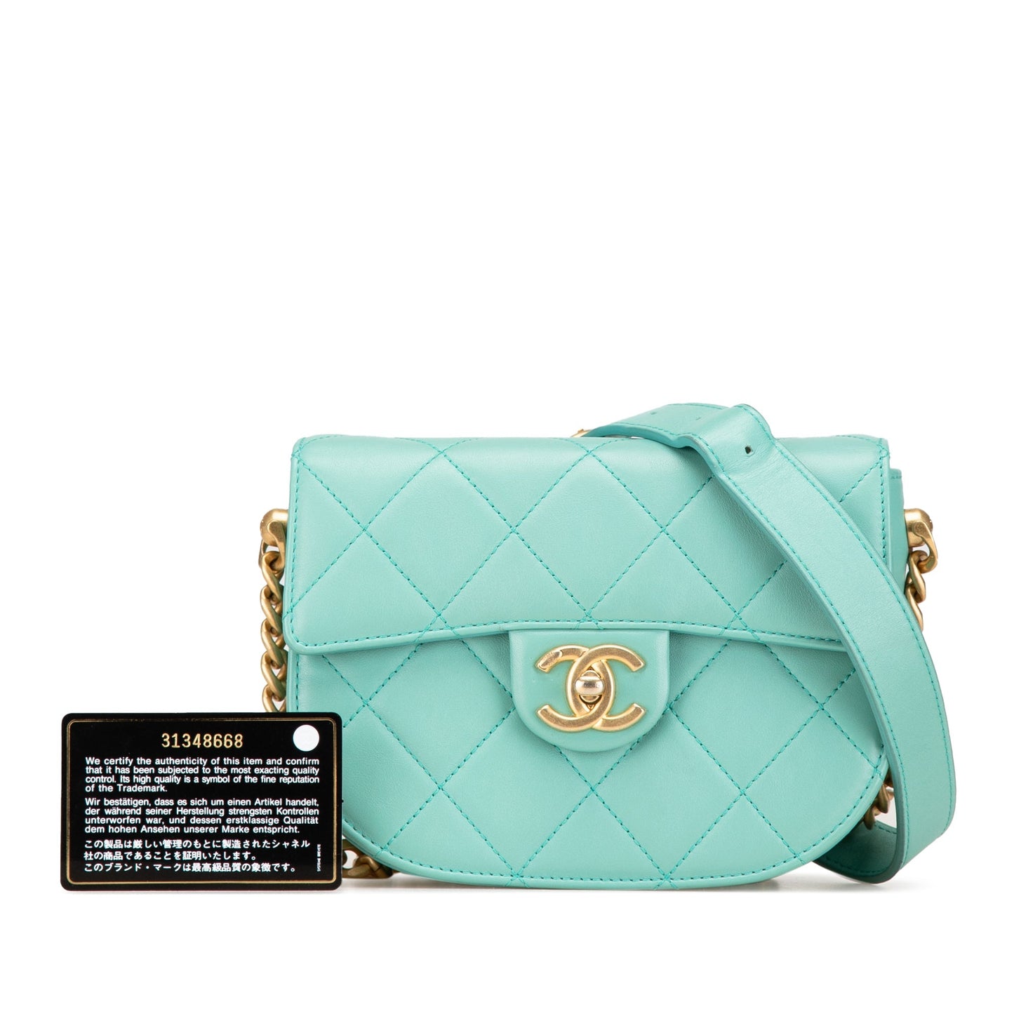 Blue Chanel Quilted Lambskin Round Moon Messenger Flap Crossbody Bag
