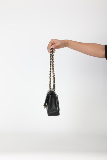 Chanel 2002 Caviar Small Double Flap