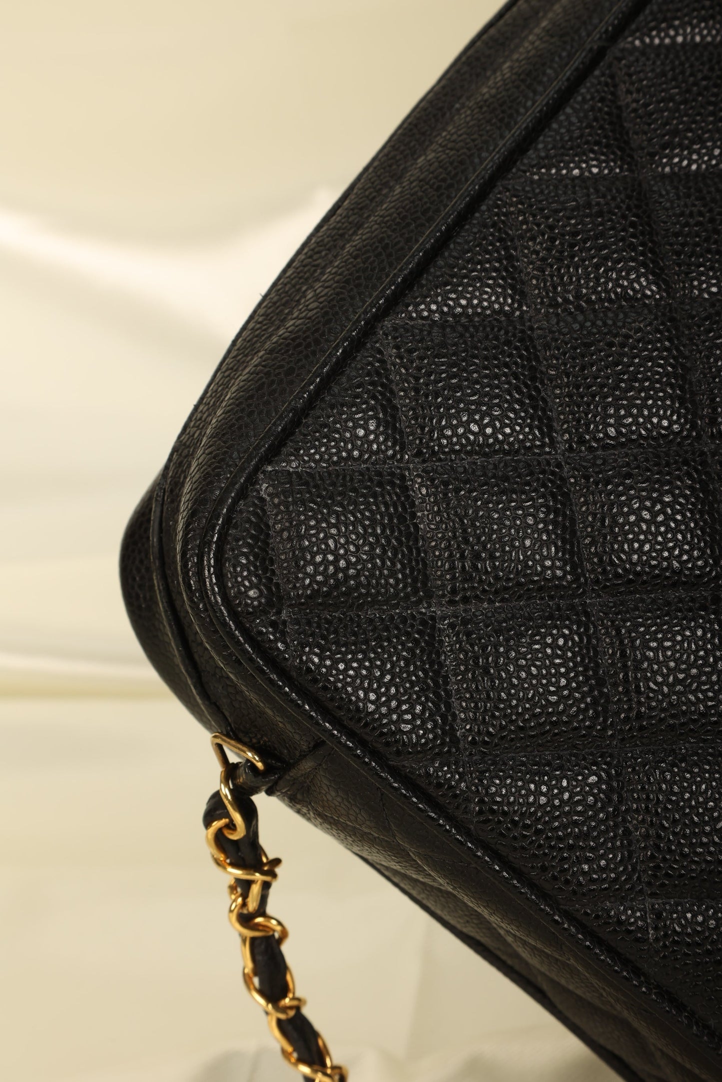 Chanel Caviar Camera Bag