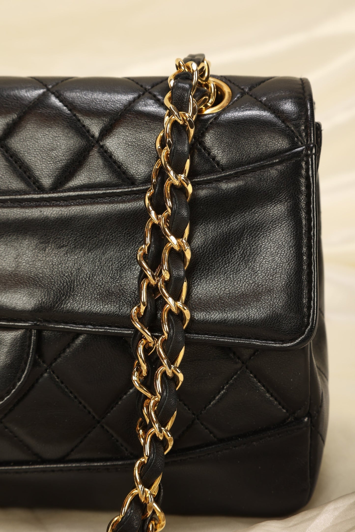 Extremely Rare Chanel Diana With Wallet