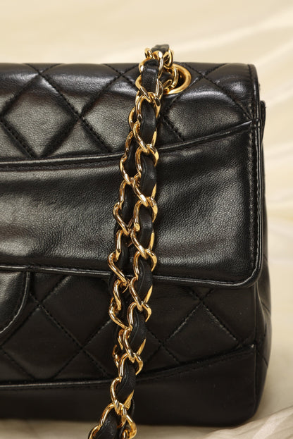 Extremely Rare Chanel Diana With Wallet