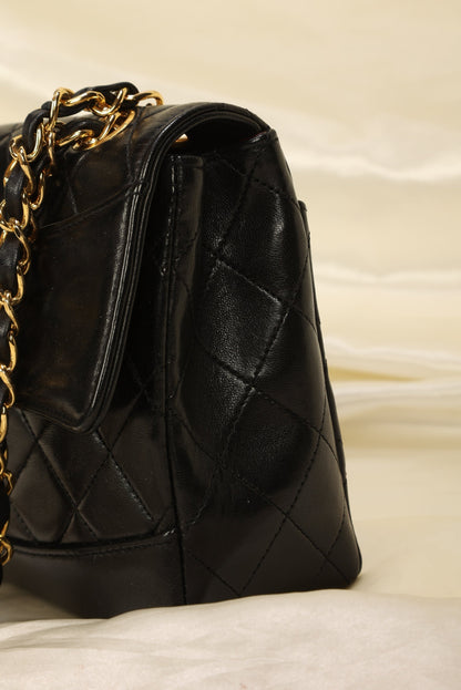Extremely Rare Chanel Diana With Wallet