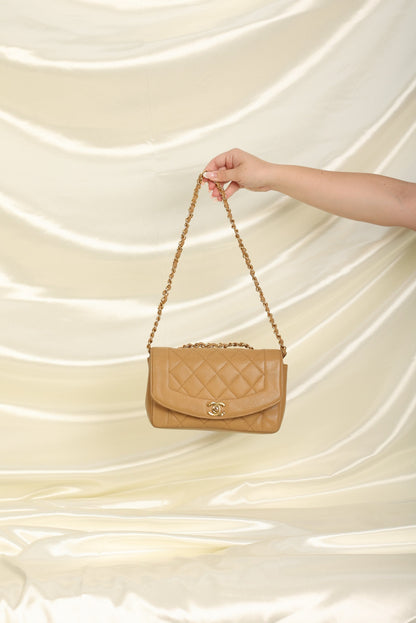 Extremely Rare Chanel Caviar Small Diana