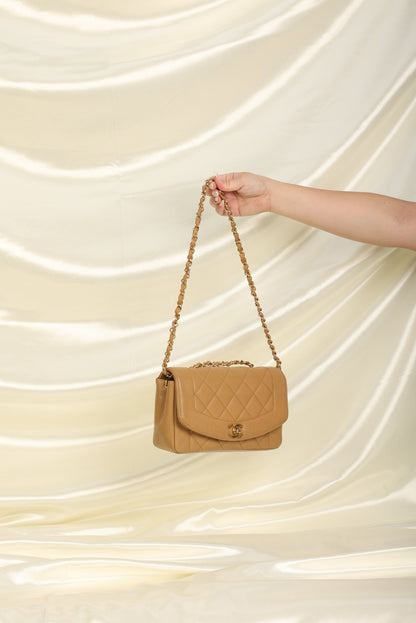 Extremely Rare Chanel Caviar Small Diana