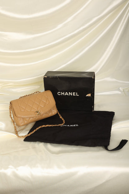 Extremely Rare Chanel Caviar Small Diana