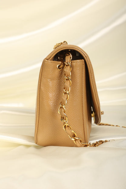 Extremely Rare Chanel Caviar Small Diana