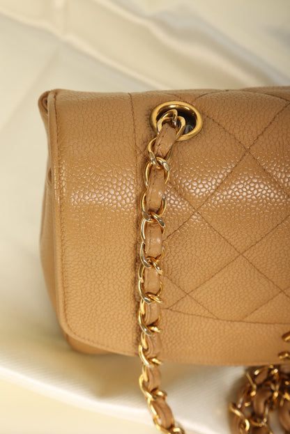 Extremely Rare Chanel Caviar Small Diana