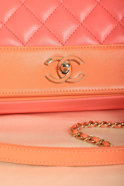 Chanel Mademoiselle Sheepskin Full Flap