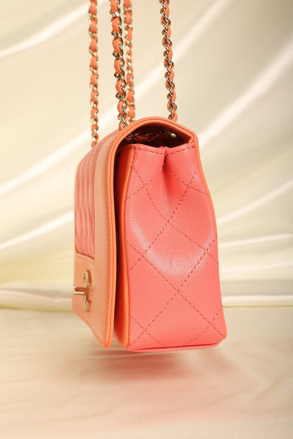 Chanel Mademoiselle Sheepskin Full Flap