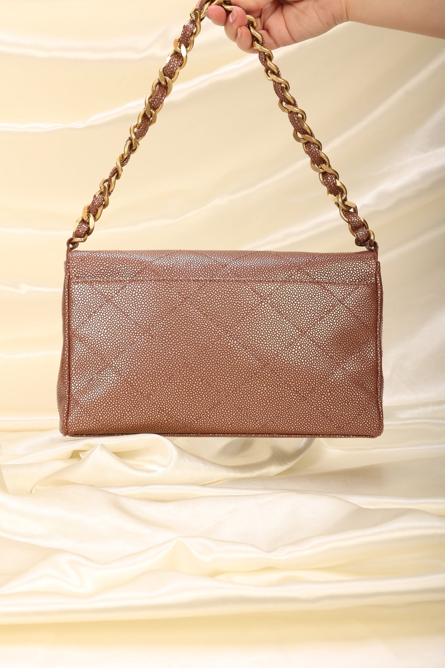 Chanel Caviar Iridescent Flap Bag