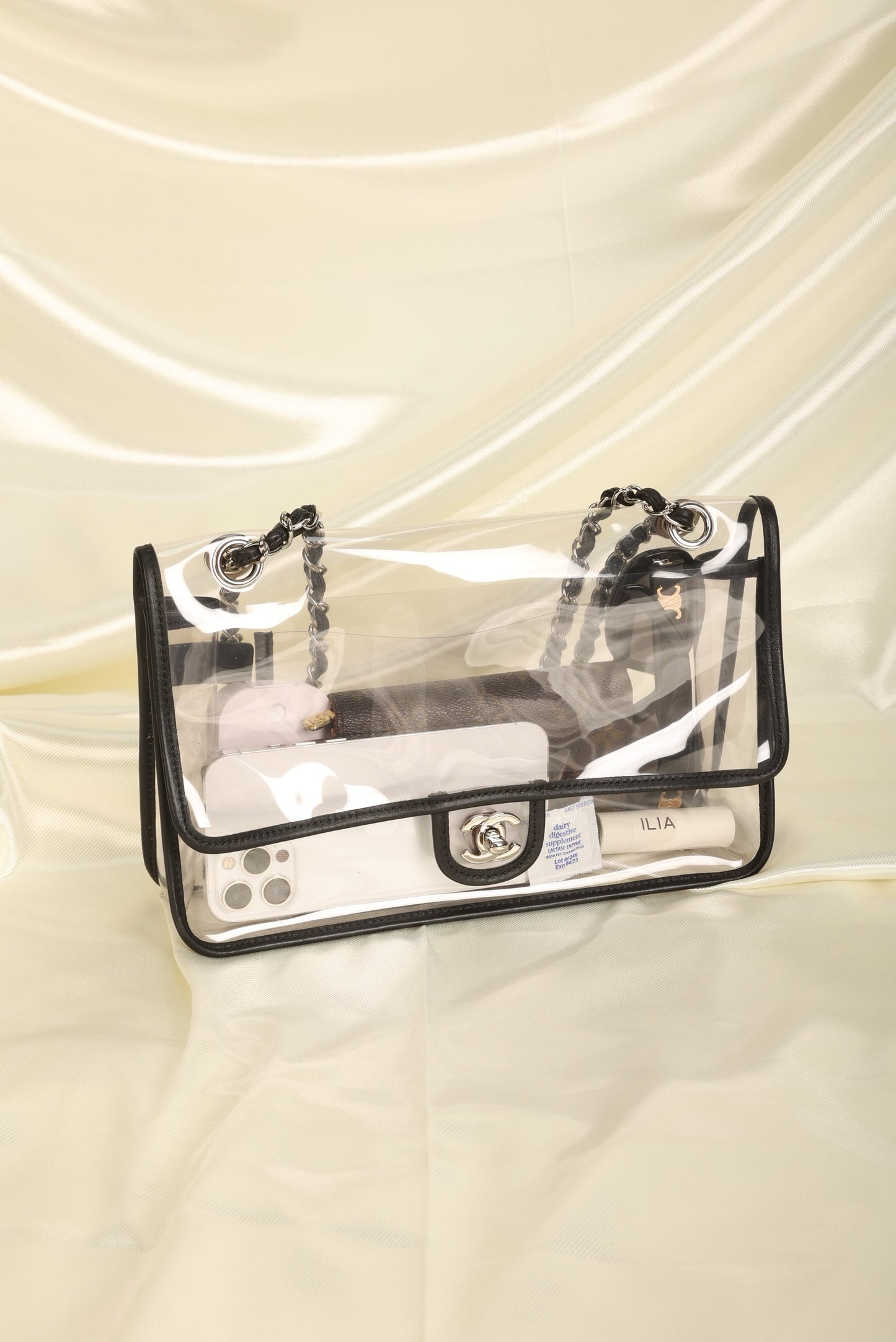 Chanel Transparent Flap Bag