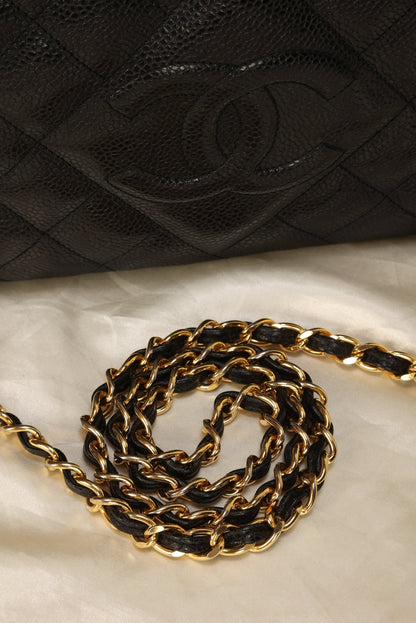 Chanel Caviar Camera Bag