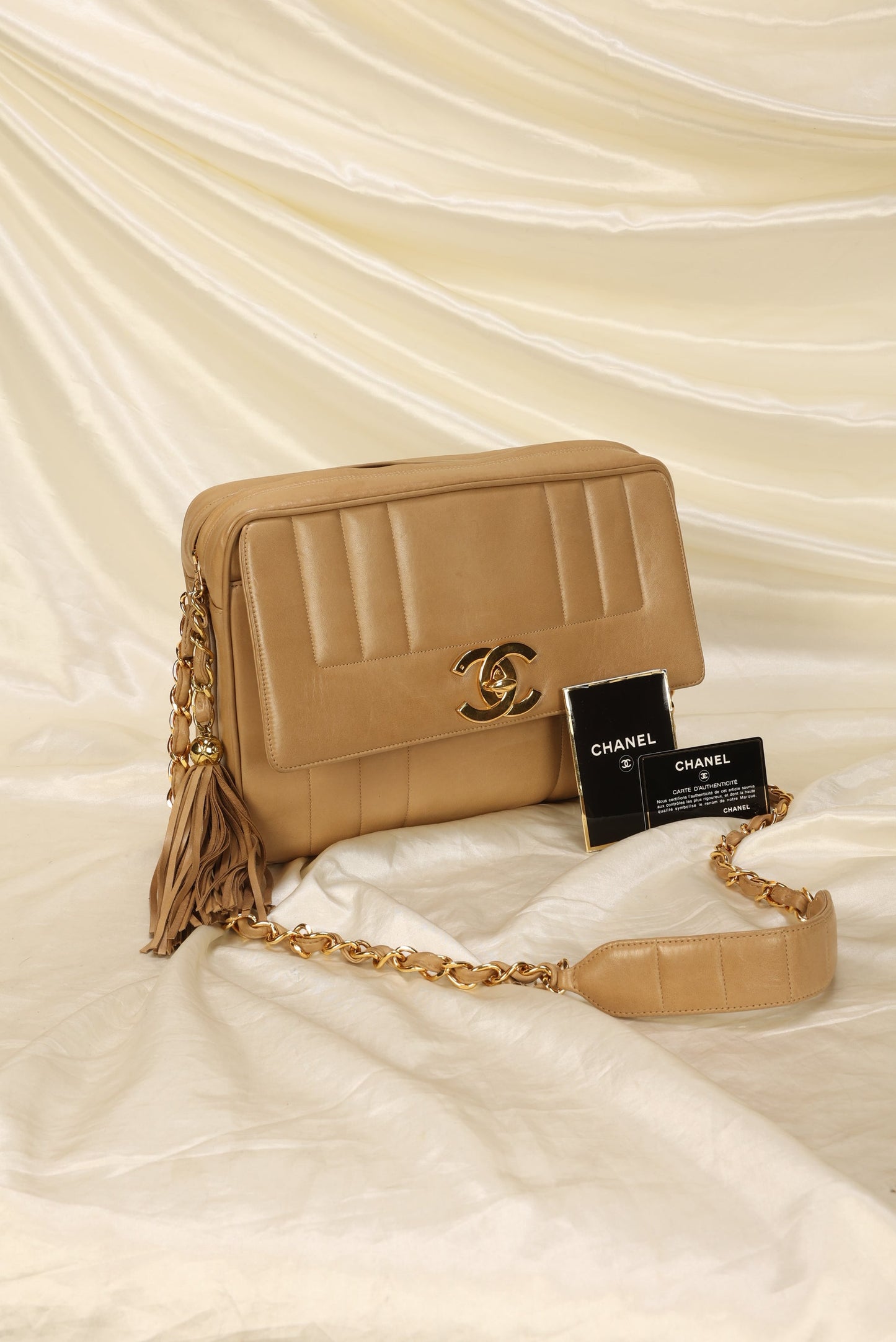 Chanel Vertical Large Camera Bag