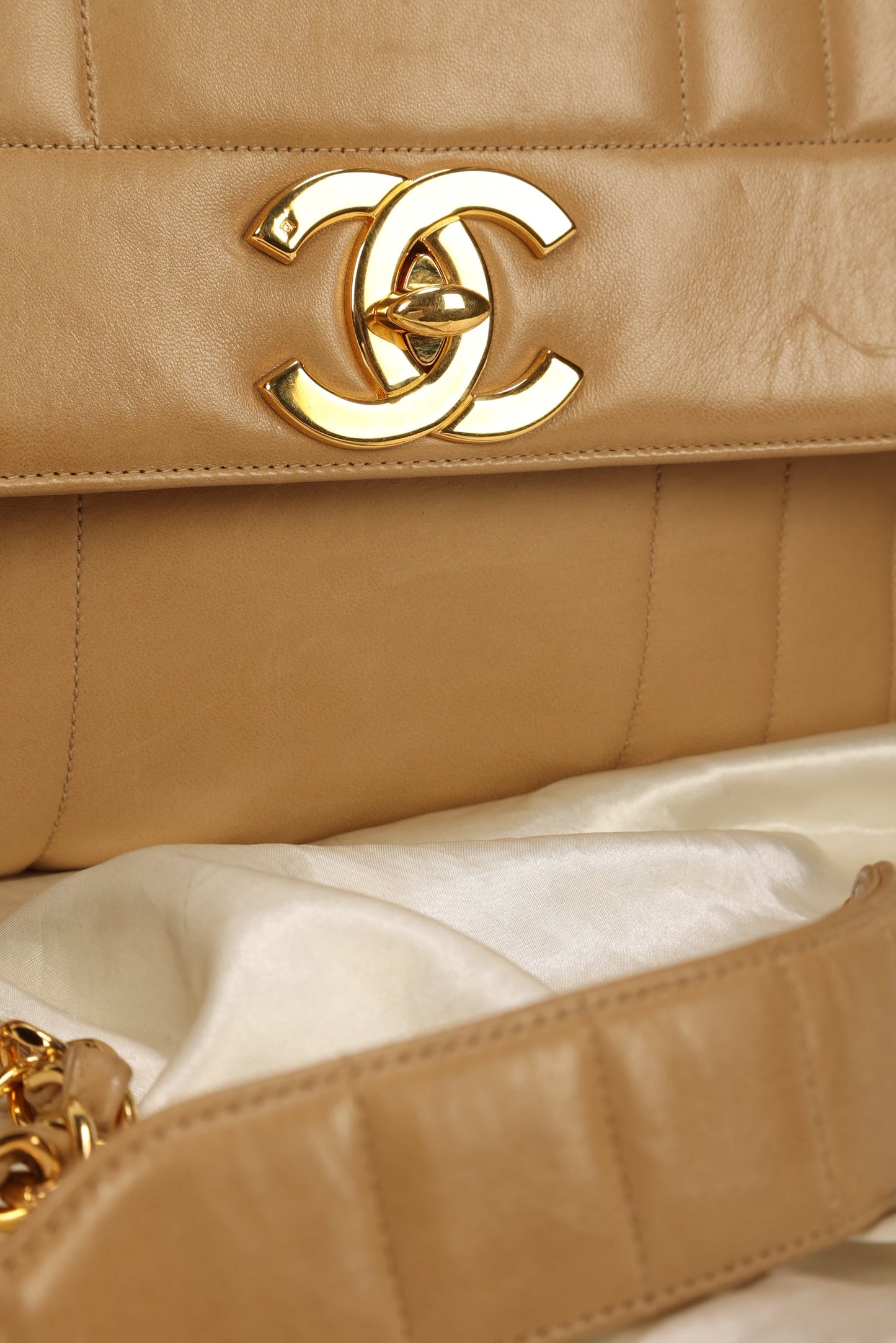 Chanel Vertical Large Camera Bag