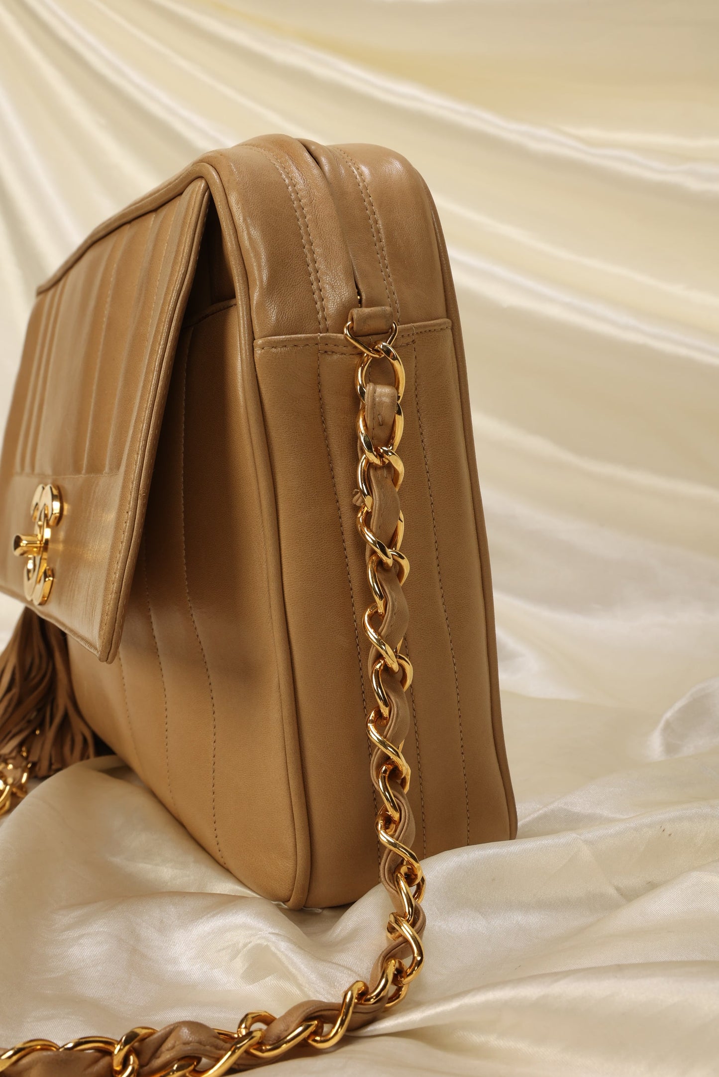Chanel Vertical Large Camera Bag