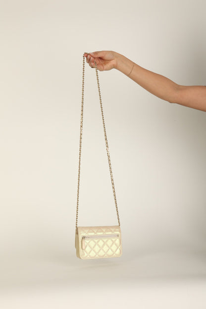 Chanel 2020 Lambskin Iridescent Wallet on Chain