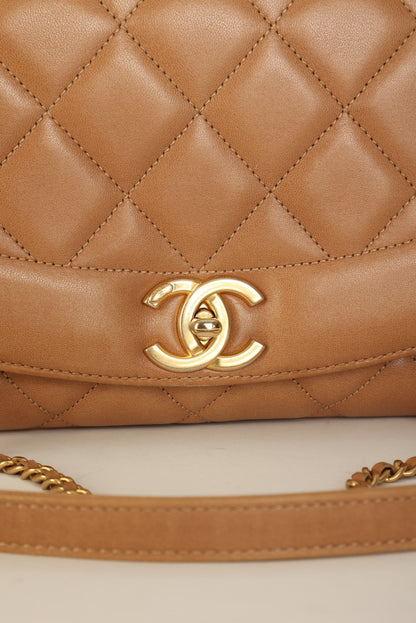 Extremely Rare Chanel 2015 Lambskin Reissue Diana