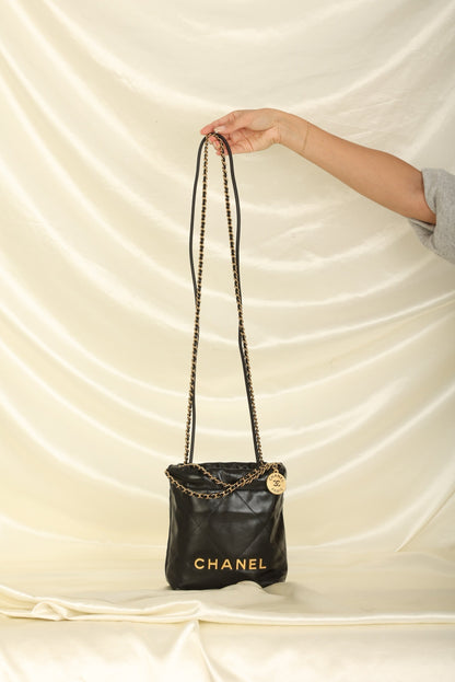 Chanel 2023 Calfskin Mini 22