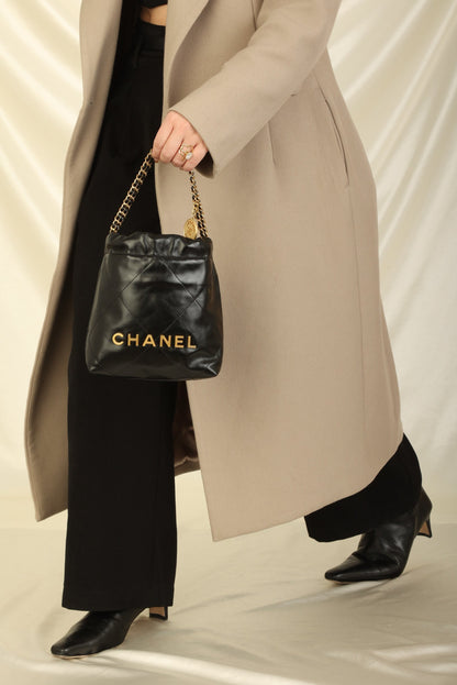Chanel 2023 Calfskin Mini 22