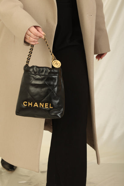 Chanel 2023 Calfskin Mini 22