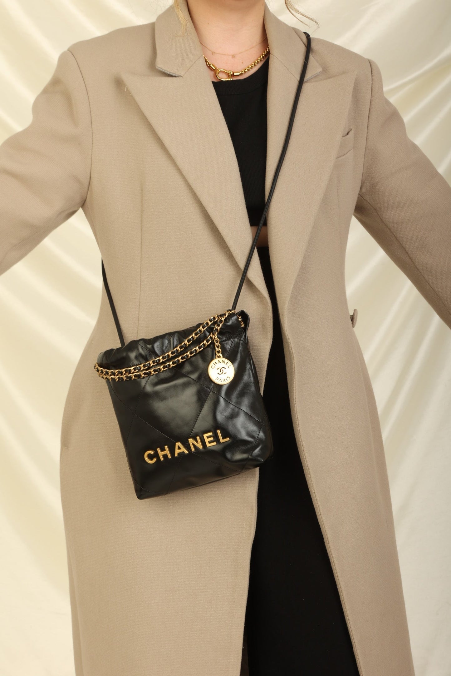 Chanel 2023 Calfskin Mini 22